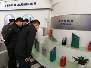 2019年2月26日，滨州北海党群工作部到广东凤铝铝业有限公司考察。